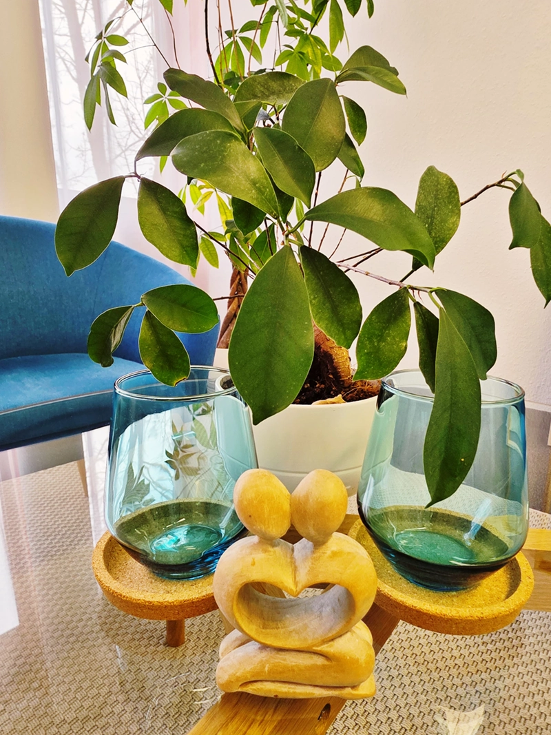 Systemische Therapie